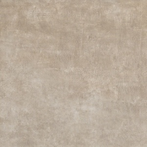 Icon Taupe Back
