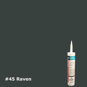 #45 Raven