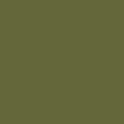 Olive Bright